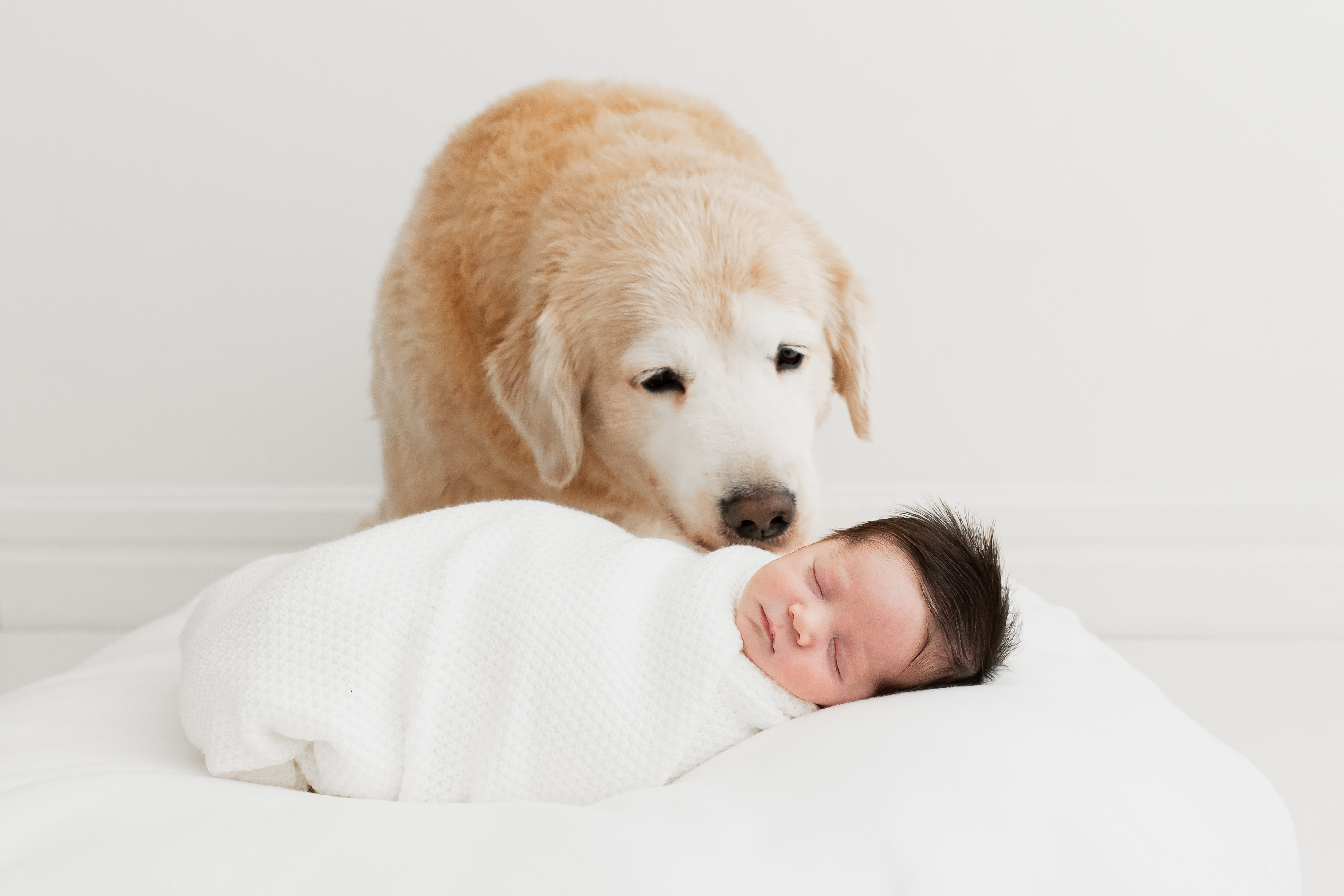 Ensaio Newborn Daniel