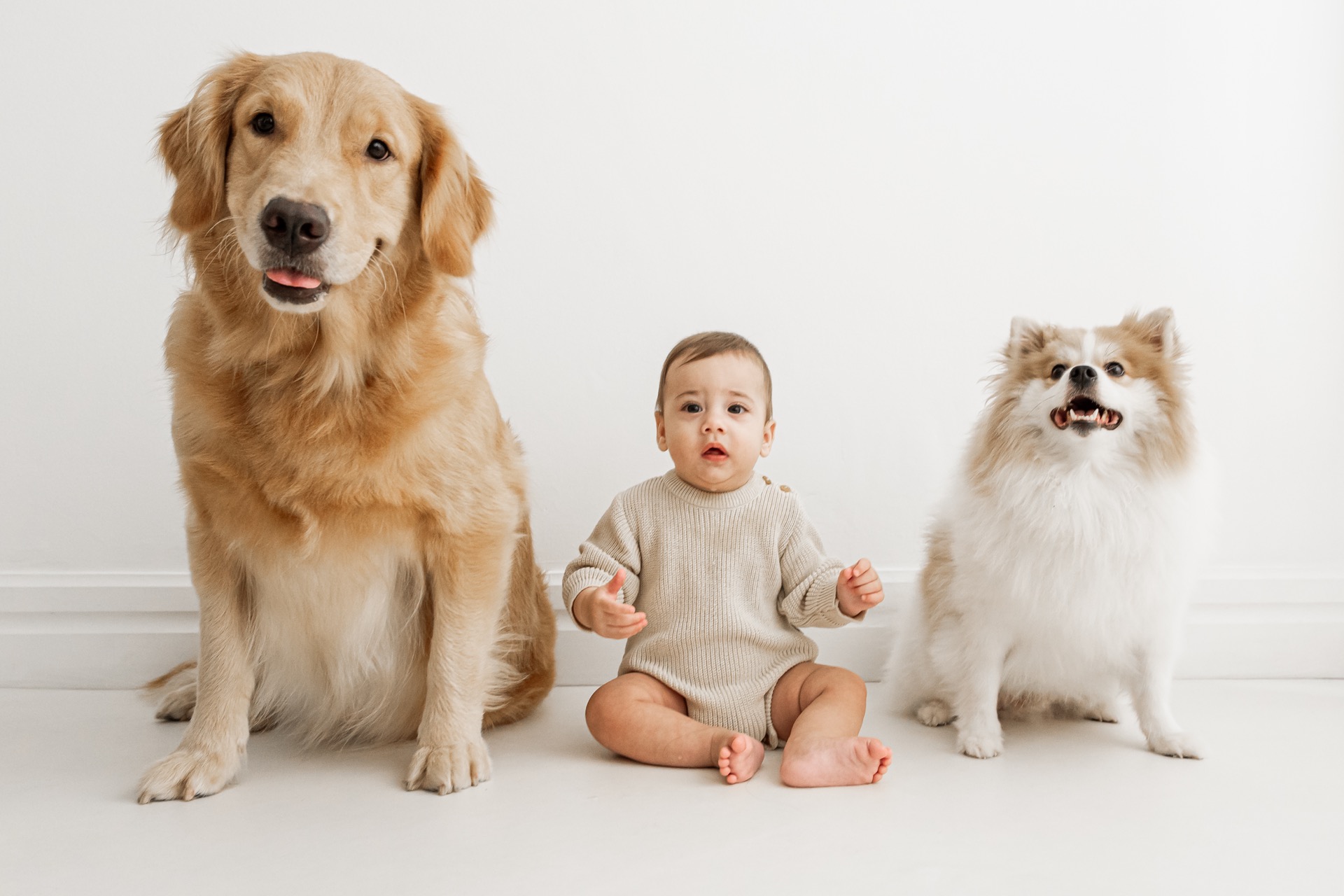 Ensaio de família com pet — resultado do curso