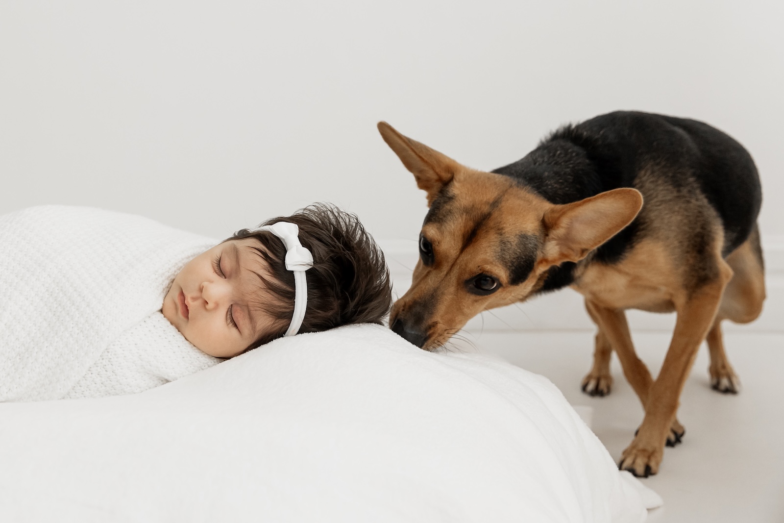 Fotografia de bebê recém-nascido — estúdio profissional RJ