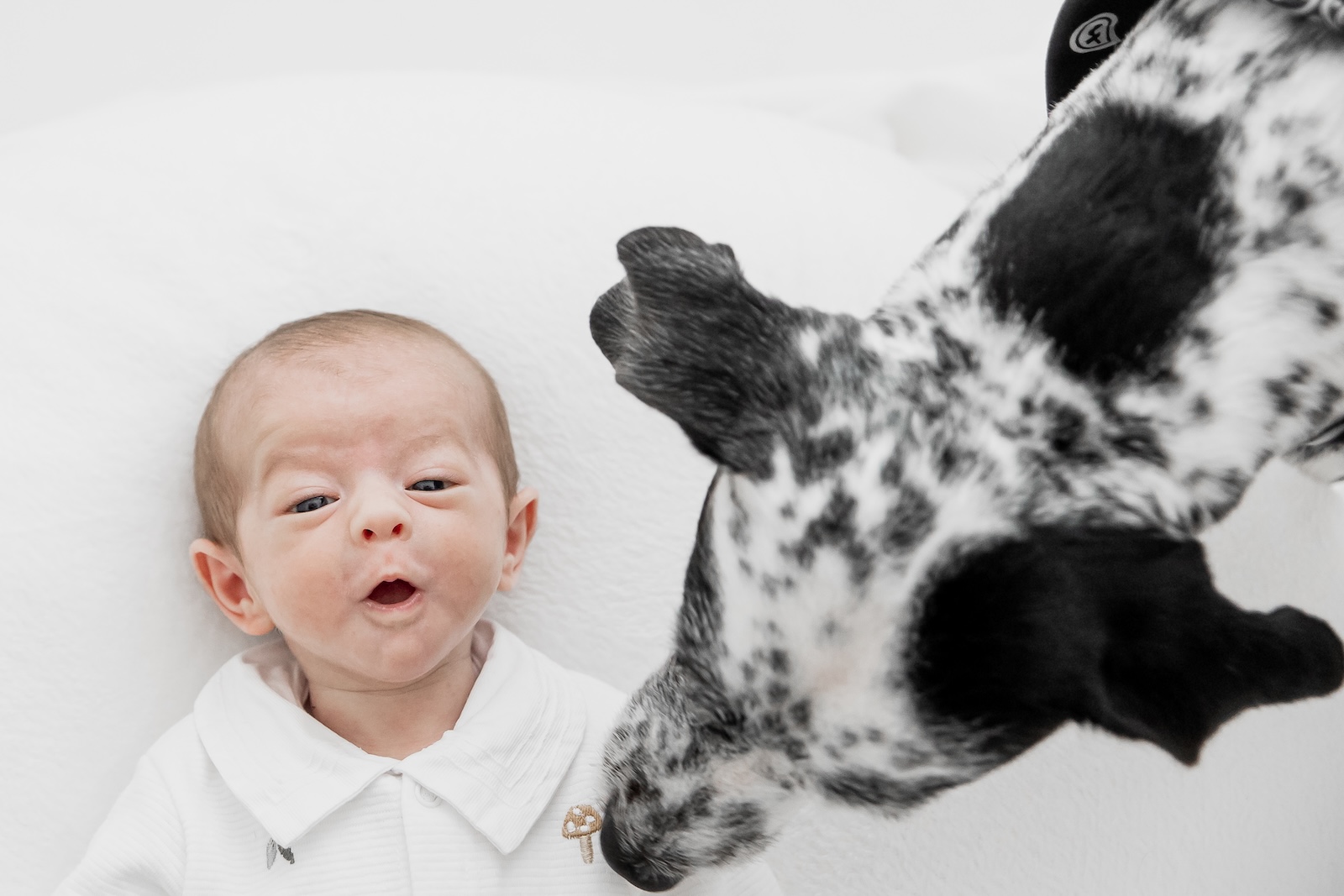 Ensaio fotográfico de recém-nascido no Rio de Janeiro