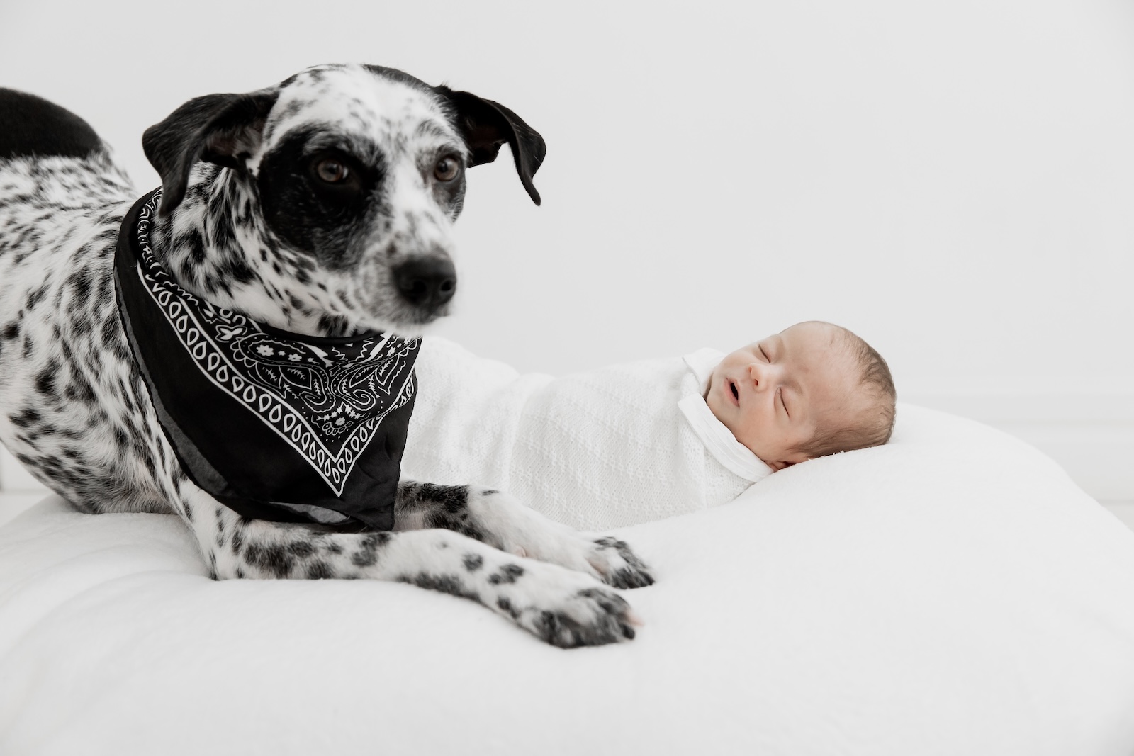 Newborn em cenário artístico — L.A. Foto Estúdio, Barra da Tijuca